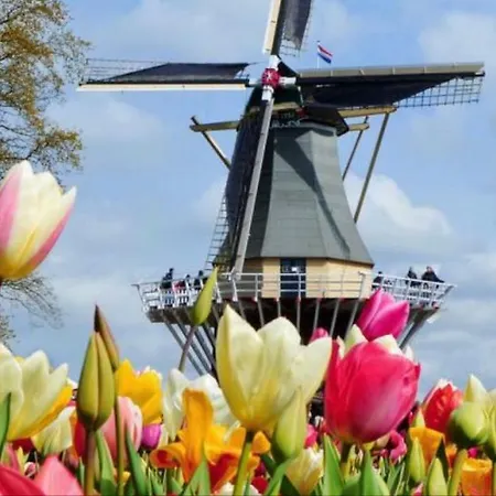 Lodge Semesterbostad Noordwijk