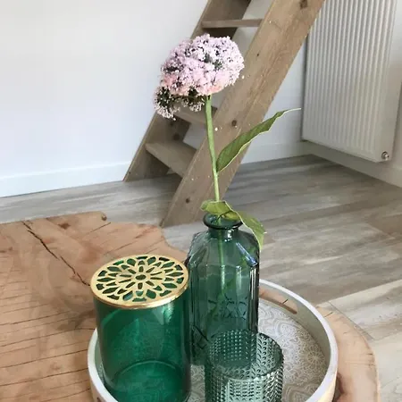 Semesterbostad Lodge *