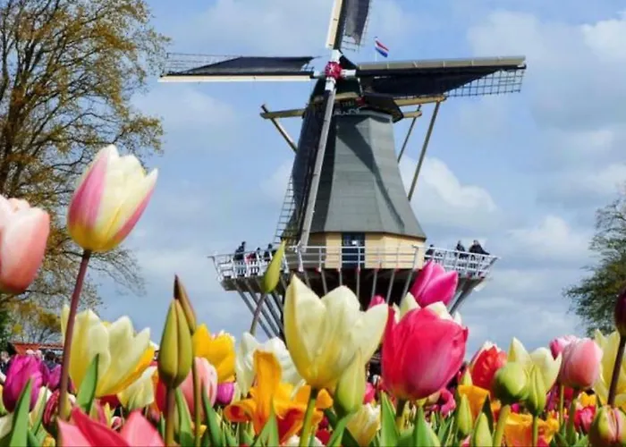 Lodge 別荘 ノールトウェイク